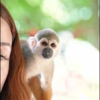 521955758_18514830541059834_7594262883184719447_n